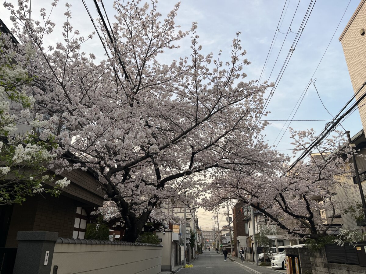 去年の今ごろ✨