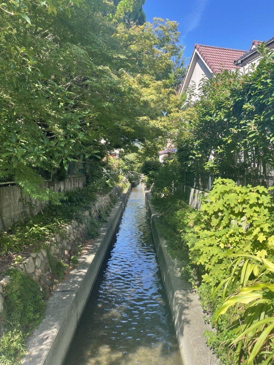 川🌊